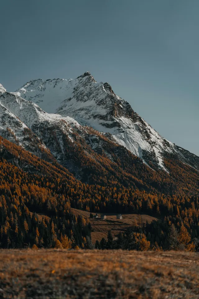 Imgwire showcase image for startup product use cases