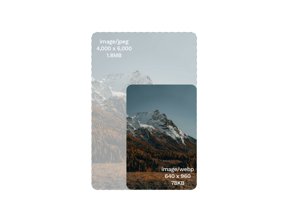 A vibrant editorial image with strong color detail